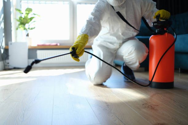 Reliable Odor Removal contractor in Yosemite National Park, CA by Dulley Family Biohazard Services
